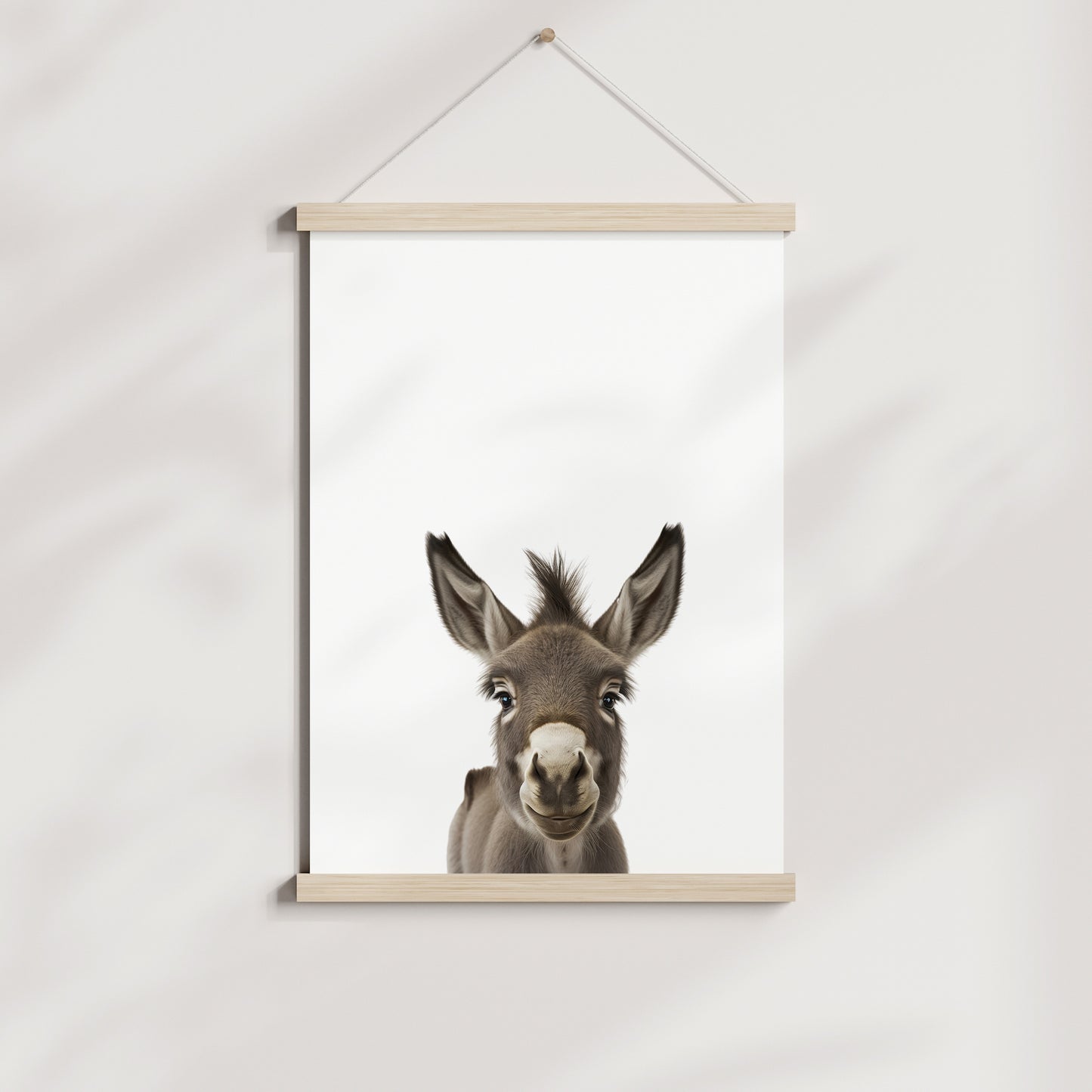 Baby Donkey Portrait Print
