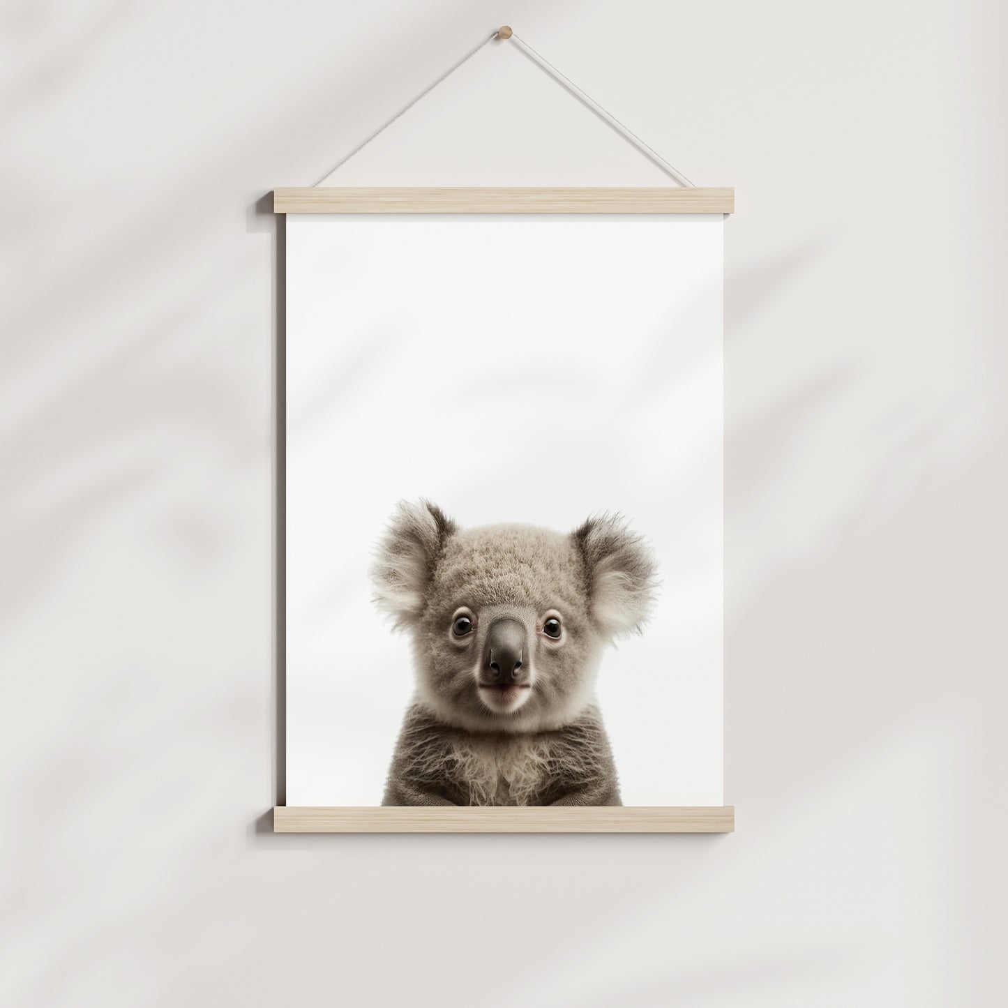 Baby Koala Portrait Print