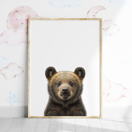 Baby Bear Portrait Print