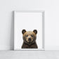 Baby Bear Portrait Print