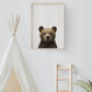 Baby Bear Portrait Print
