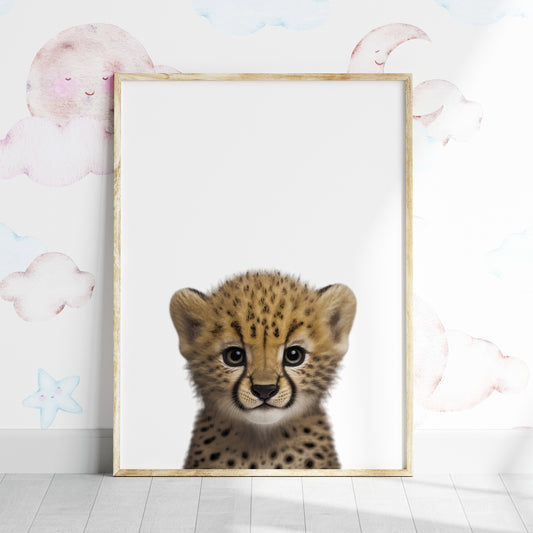 Baby Cheetah Portrait Print