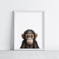 Baby Chimpanzee Portrait Print