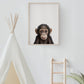 Baby Chimpanzee Portrait Print