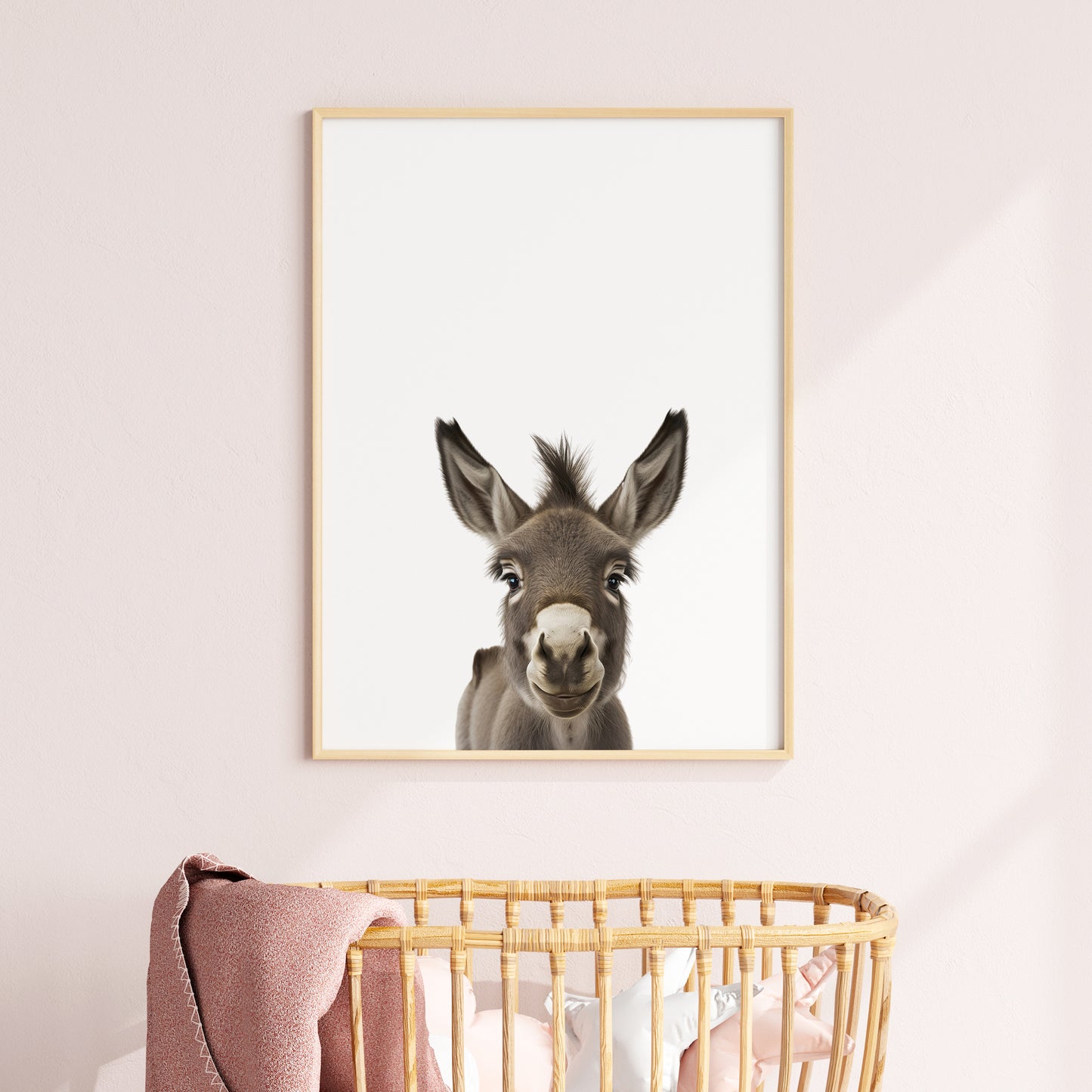 Baby Donkey Portrait Print