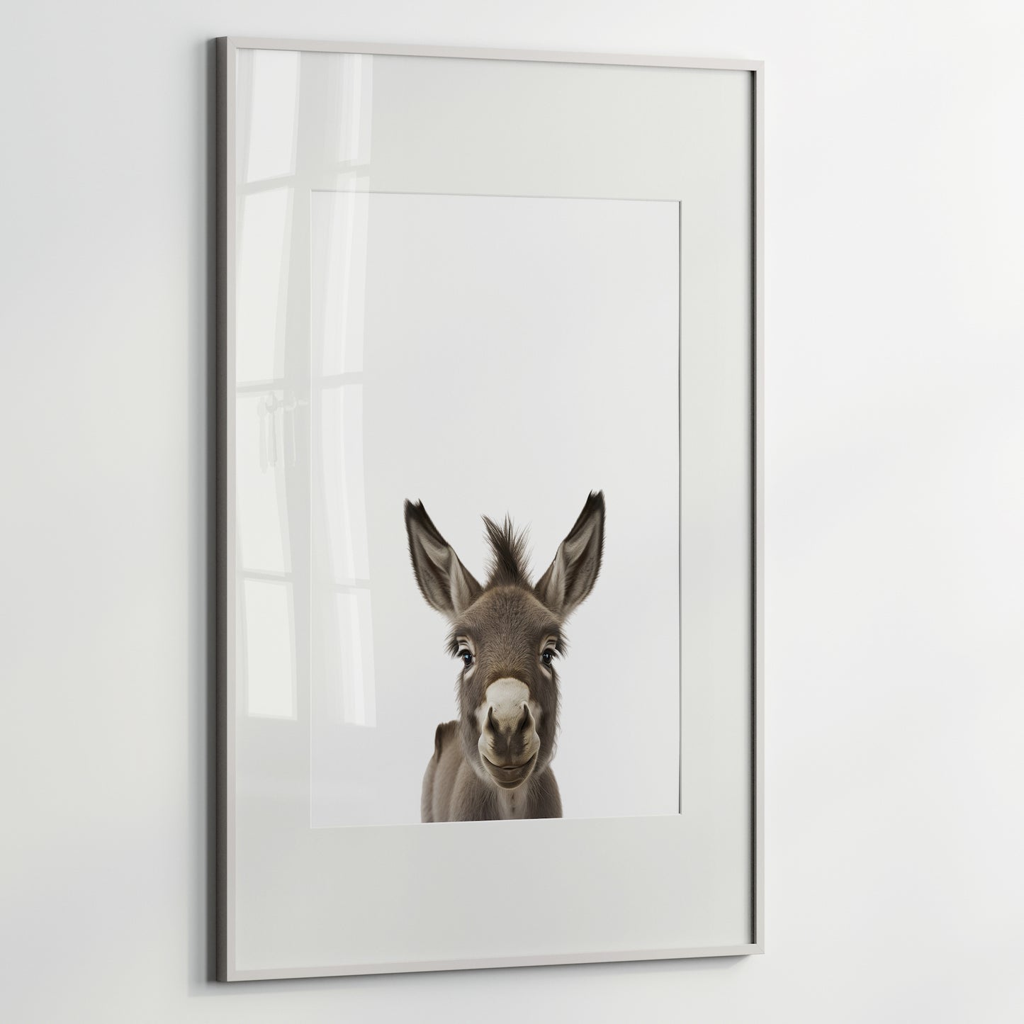 Baby Donkey Portrait Print