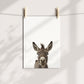 Baby Donkey Portrait Print