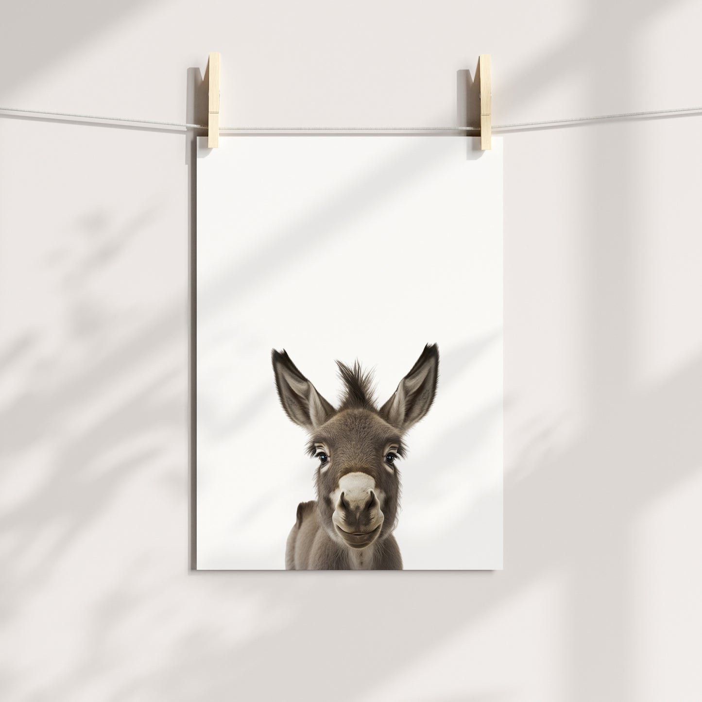 Baby Donkey Portrait Print