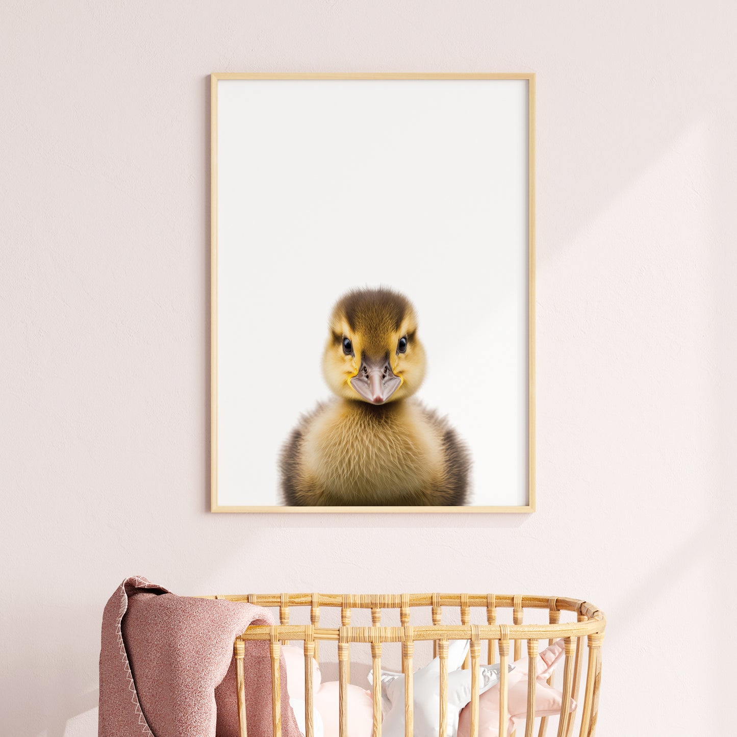 Baby Duckling Portrait Print