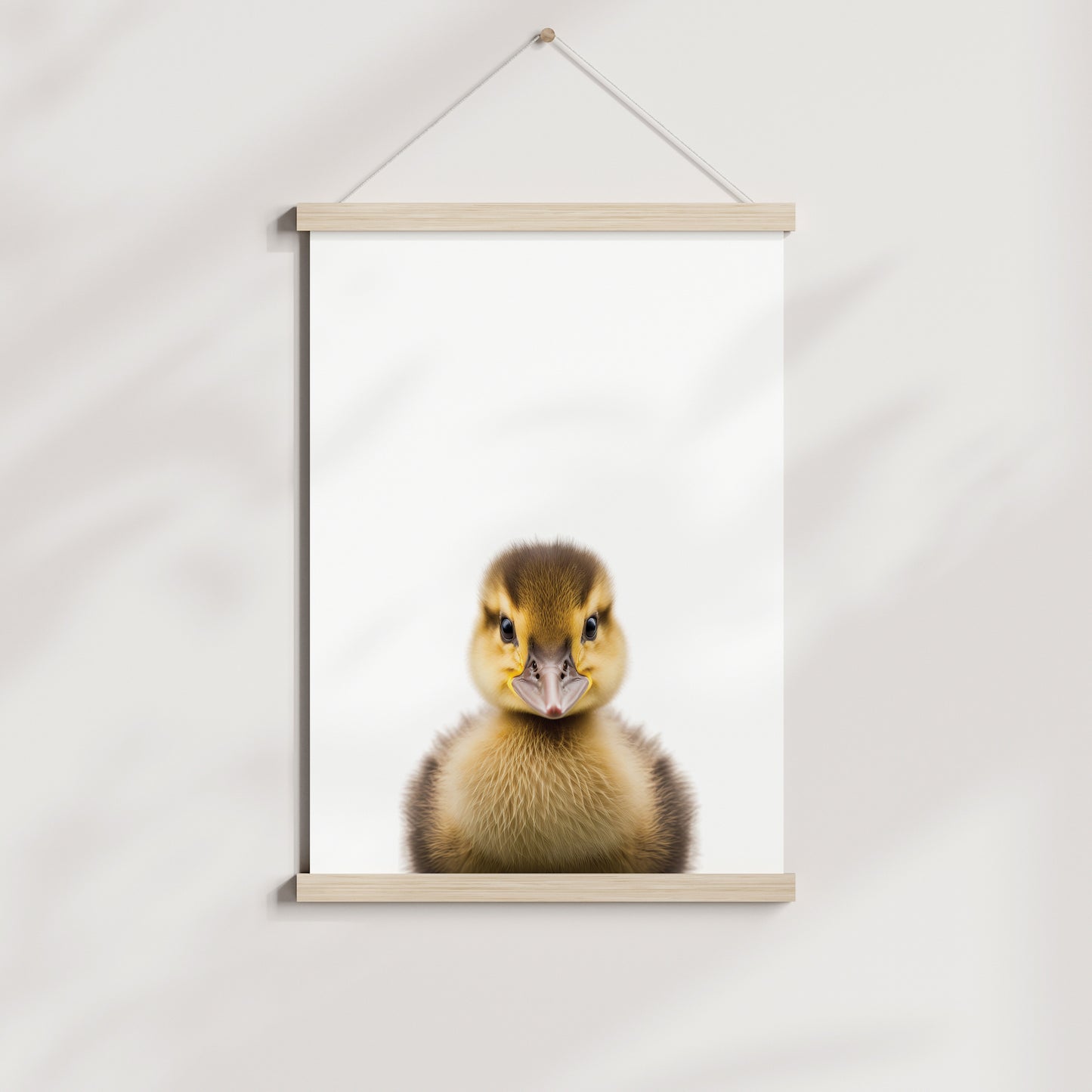 Baby Duckling Portrait Print