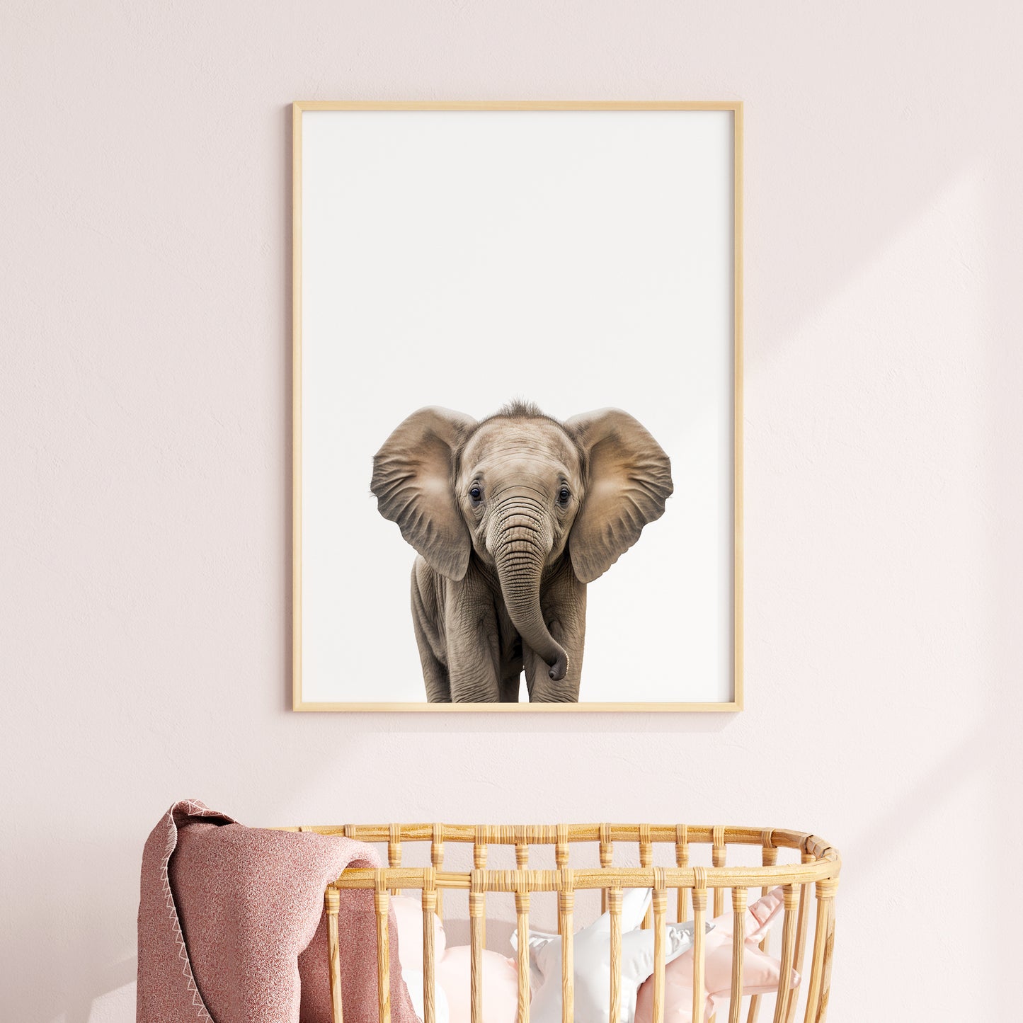 Baby Elephant Portrait Print