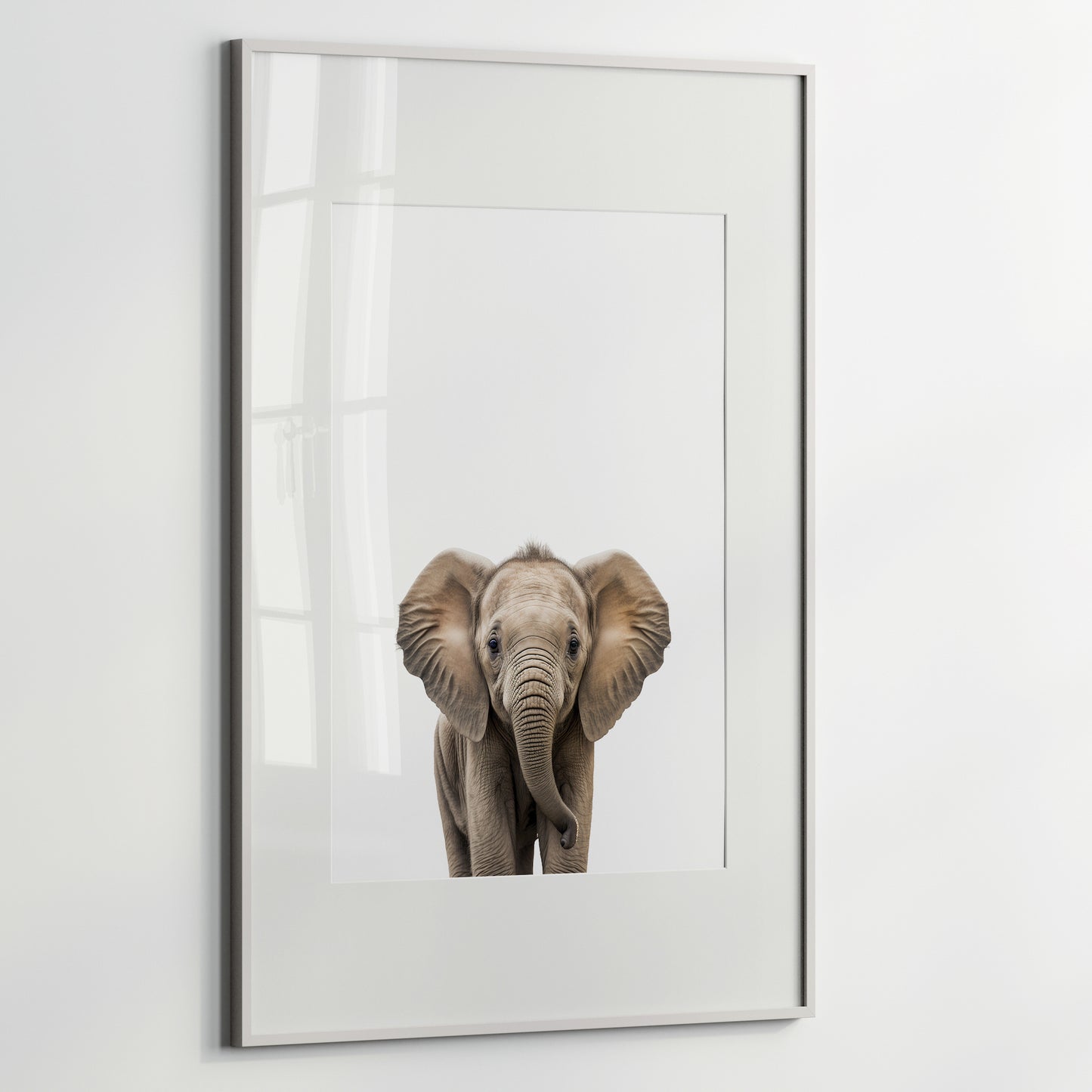 Baby Elephant Portrait Print