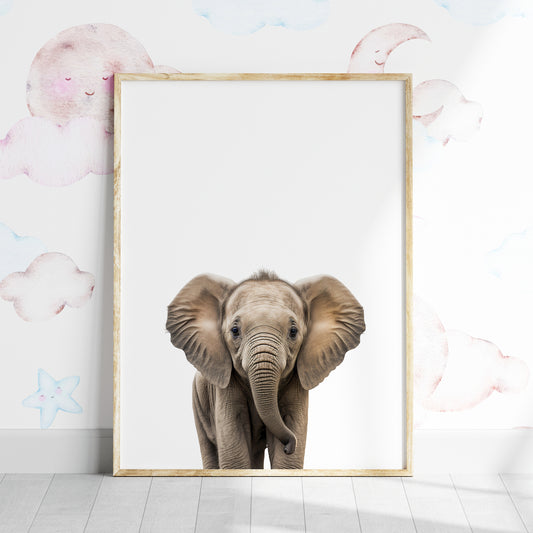 Baby Elephant Portrait Print