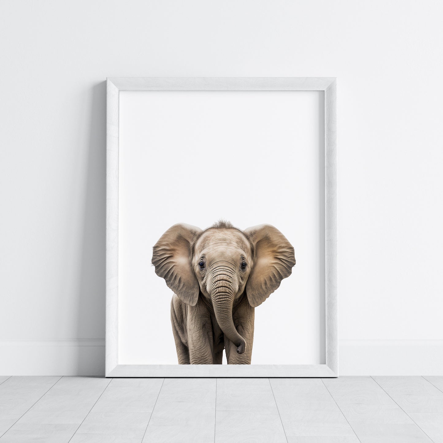 Baby Elephant Portrait Print