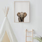 Baby Elephant Portrait Print