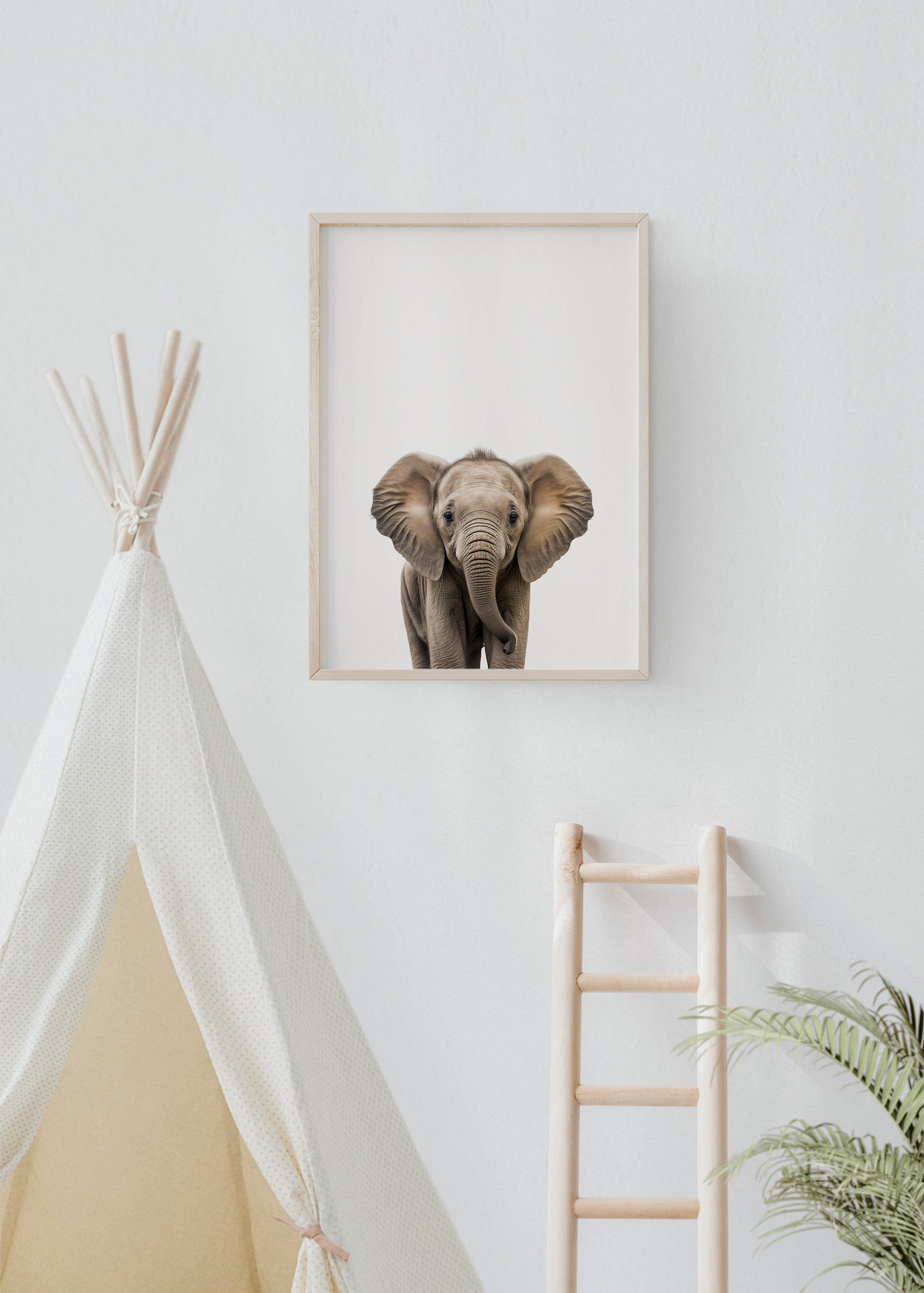 Baby Elephant Portrait Print