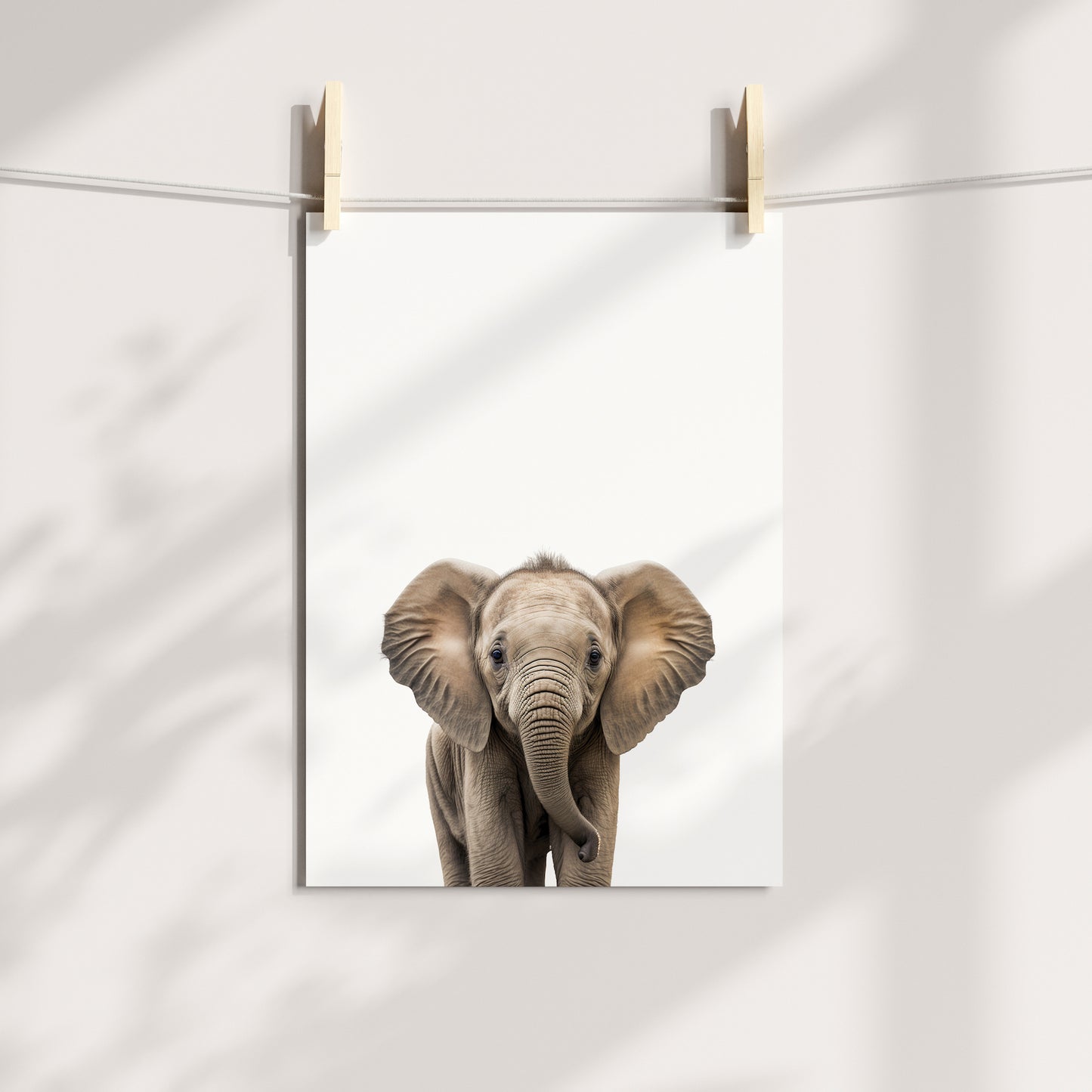 Baby Elephant Portrait Print