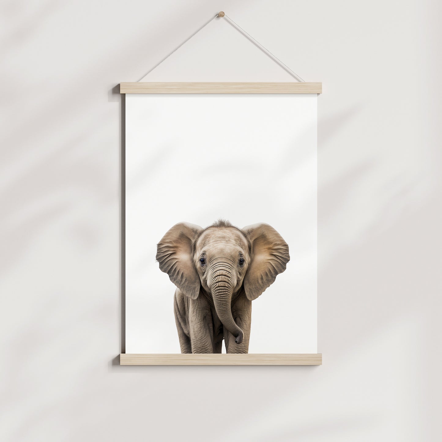 Baby Elephant Portrait Print