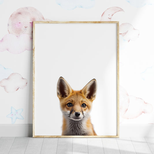 Baby Fox Portrait Print