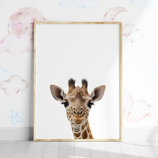 Baby Giraffe Portrait Print