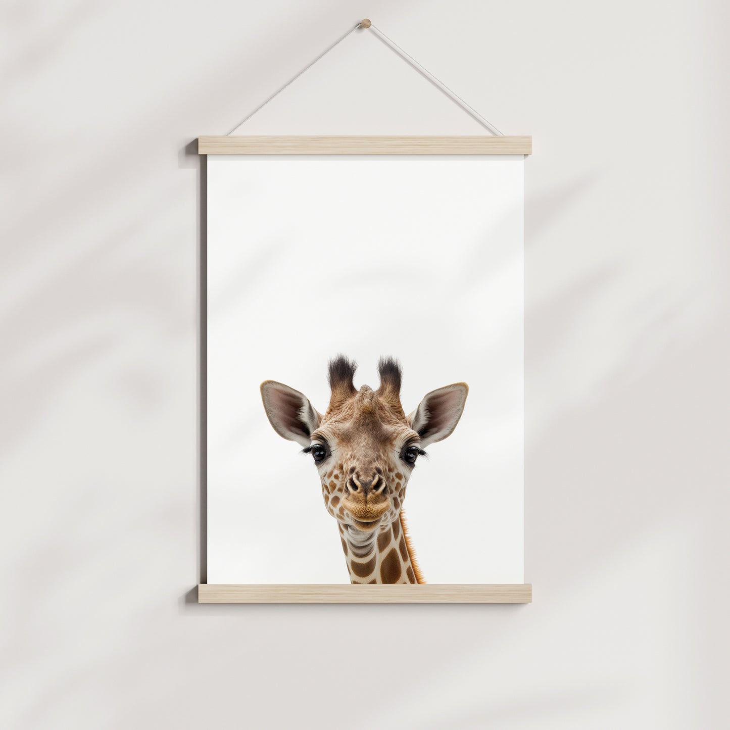 Baby Giraffe Portrait Print