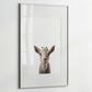 Baby Goat Portrait Print