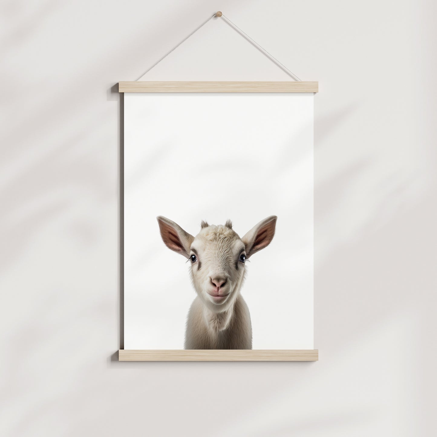 Baby Goat Portrait Print