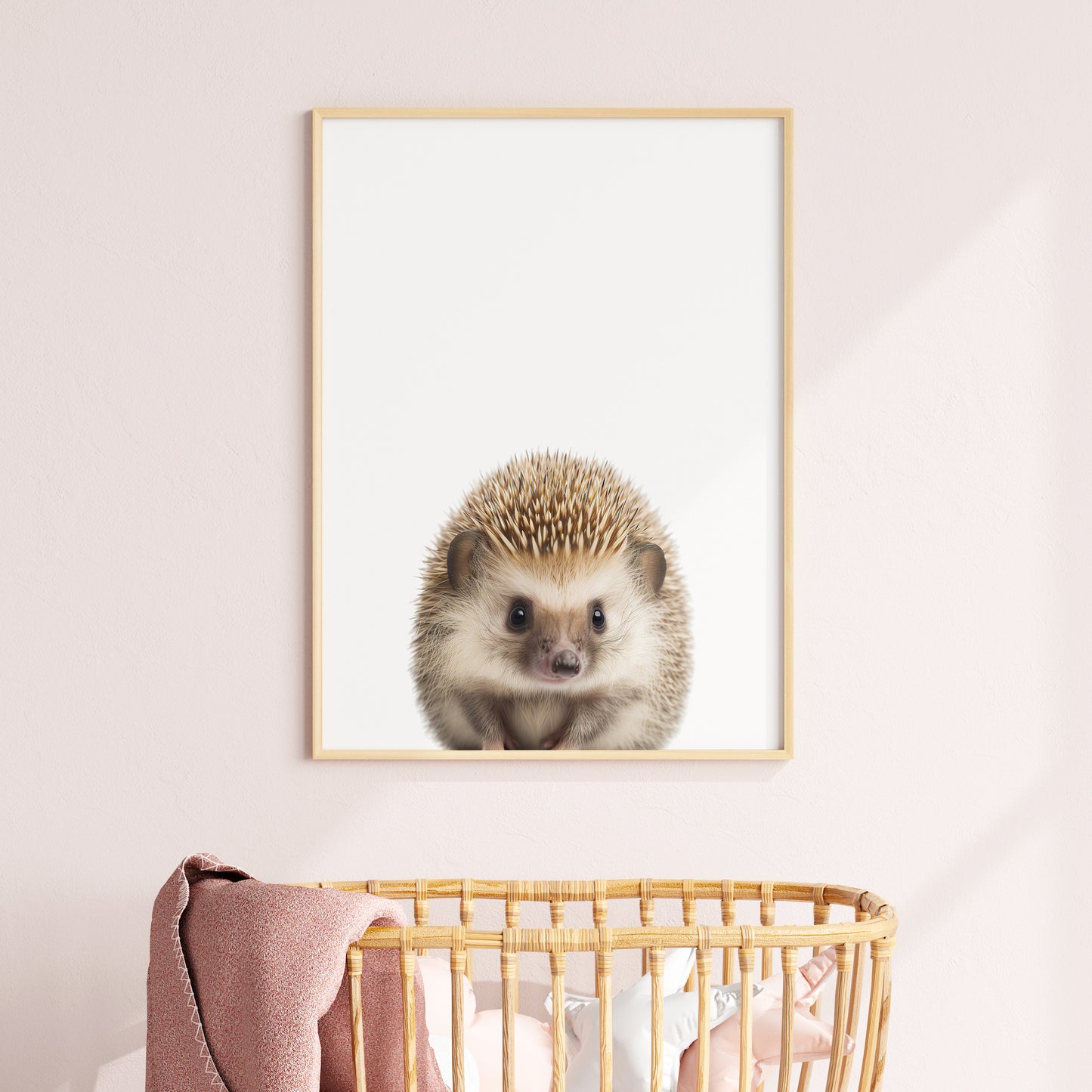 Baby Hedgehog Portrait Print