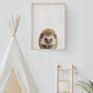 Baby Hedgehog Portrait Print