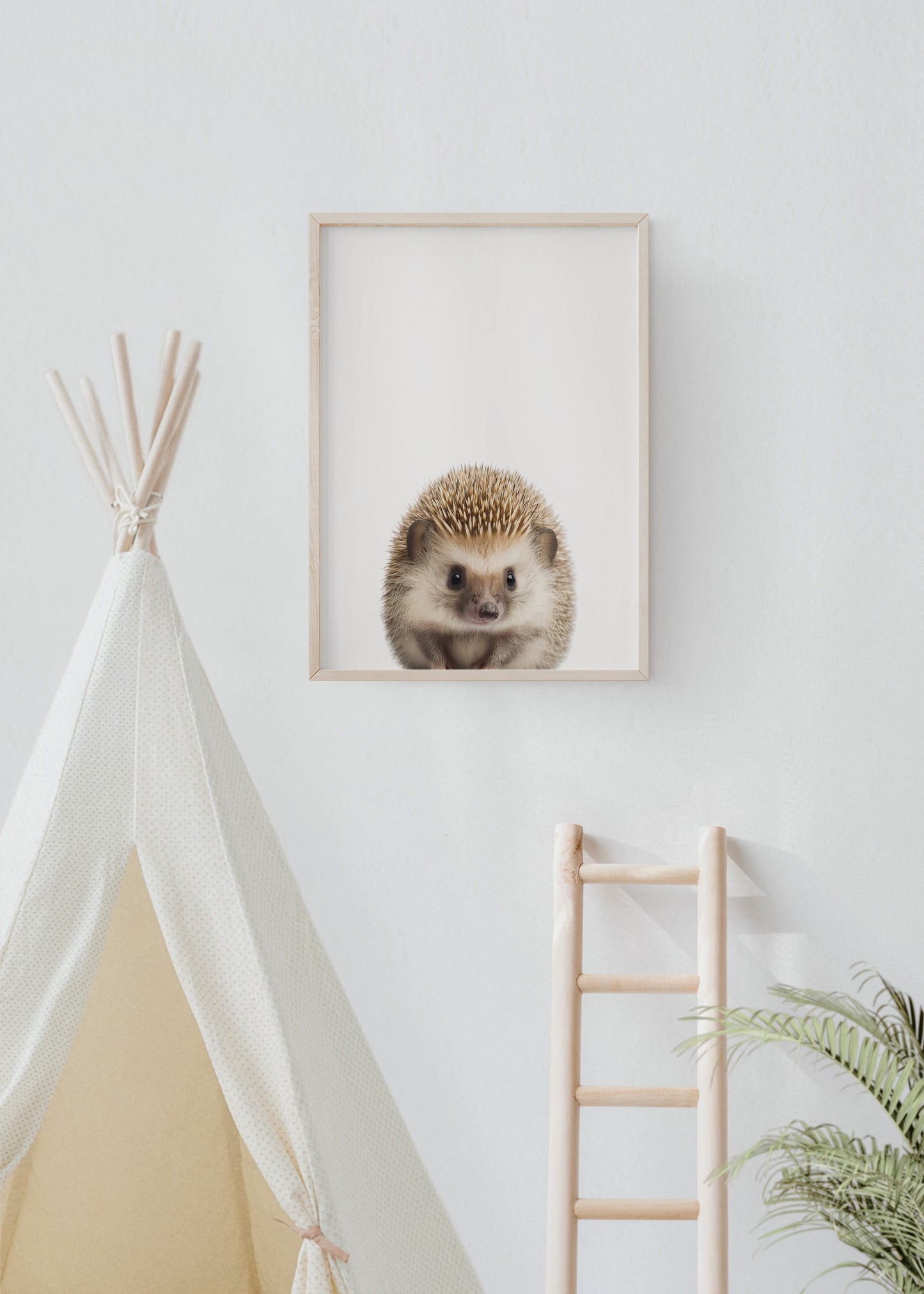 Baby Hedgehog Portrait Print