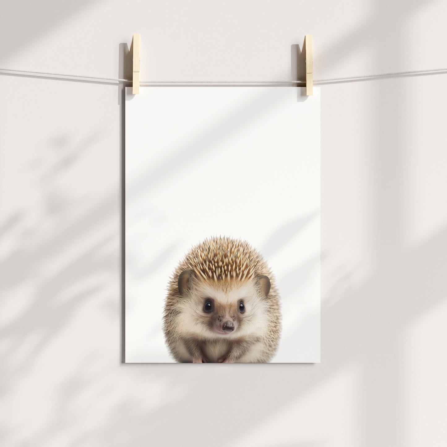 Baby Hedgehog Portrait Print