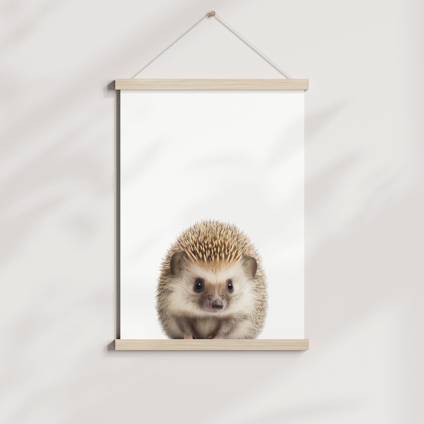 Baby Hedgehog Portrait Print