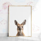 Baby Kangaroo Portrait Print