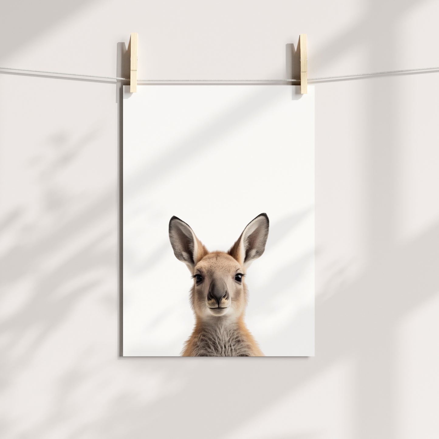 Baby Kangaroo Portrait Print