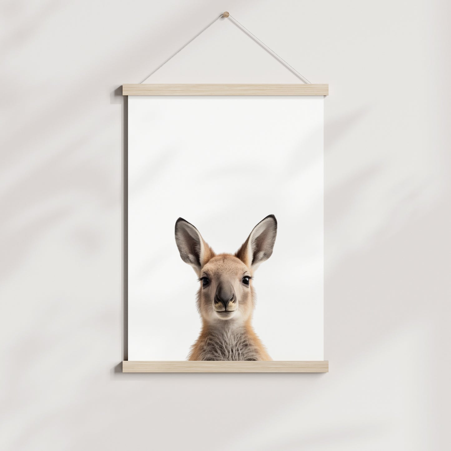 Baby Kangaroo Portrait Print