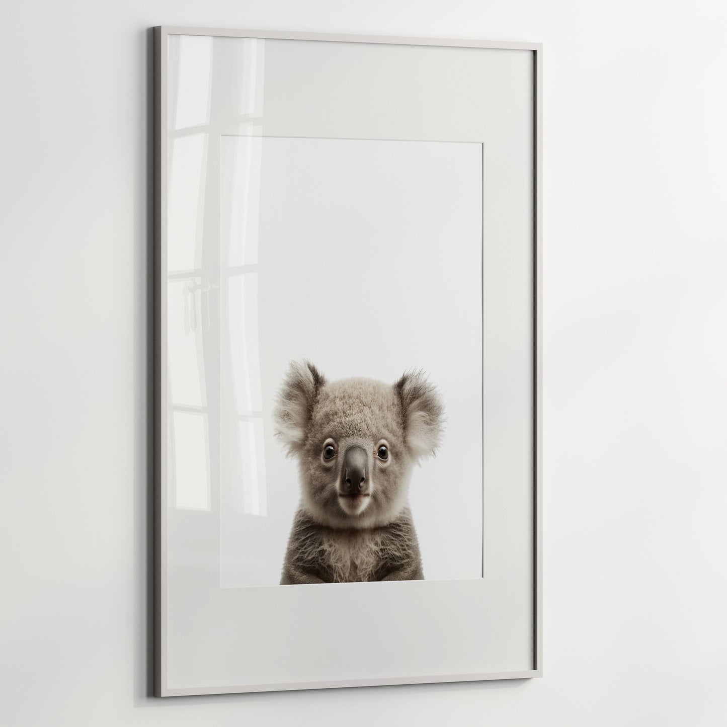 Baby Koala Portrait Print