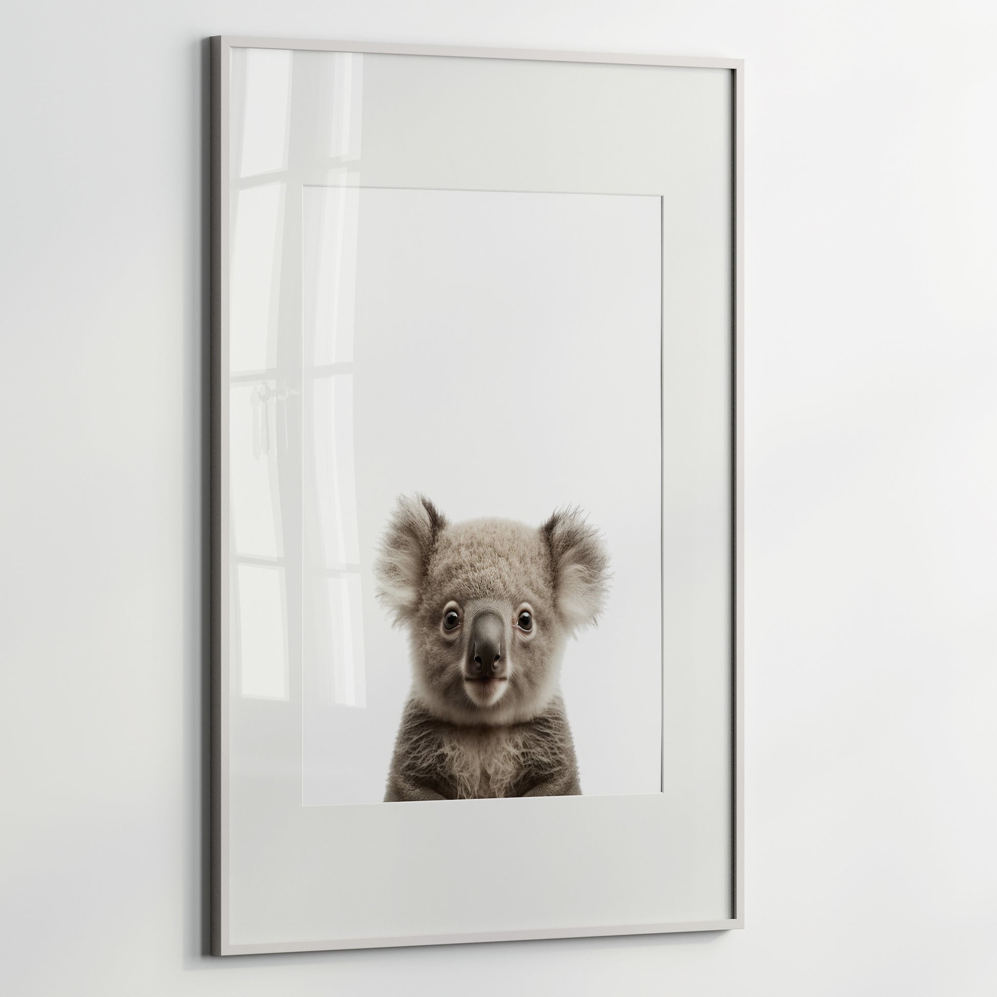 Baby Koala - Koala Bear - Posters and Art Prints