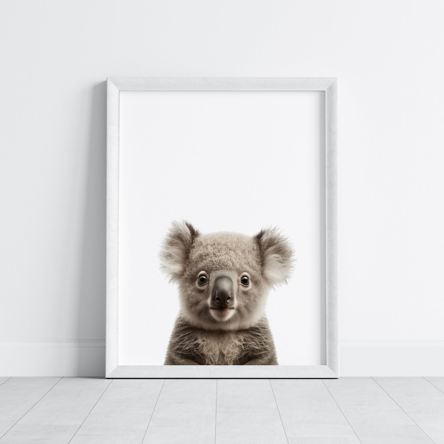 Baby Koala Portrait Print