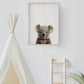 Baby Koala Portrait Print