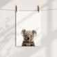 Baby Koala Portrait Print