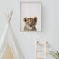 Baby Lion Portrait Print