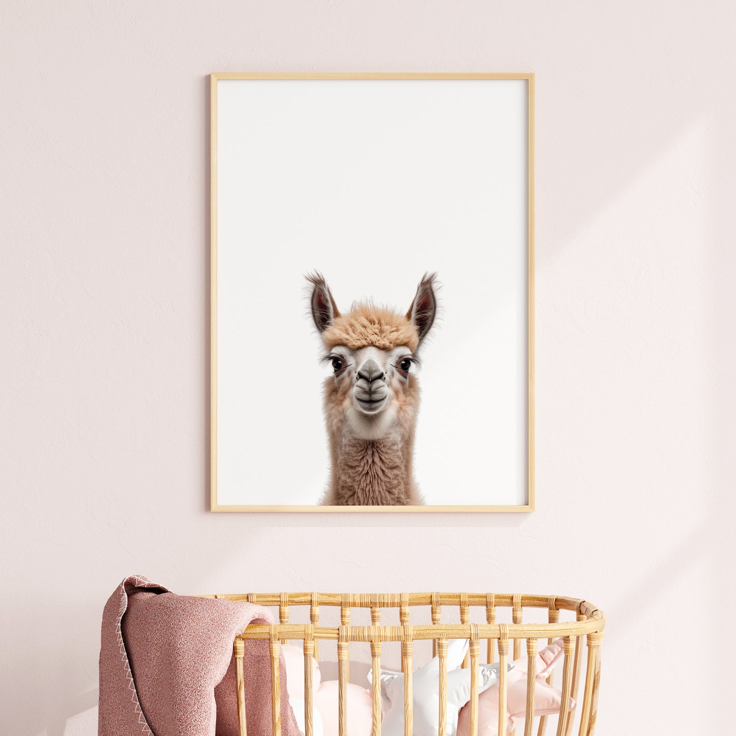 Baby Llama Portrait Print