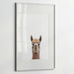 Baby Llama Portrait Print