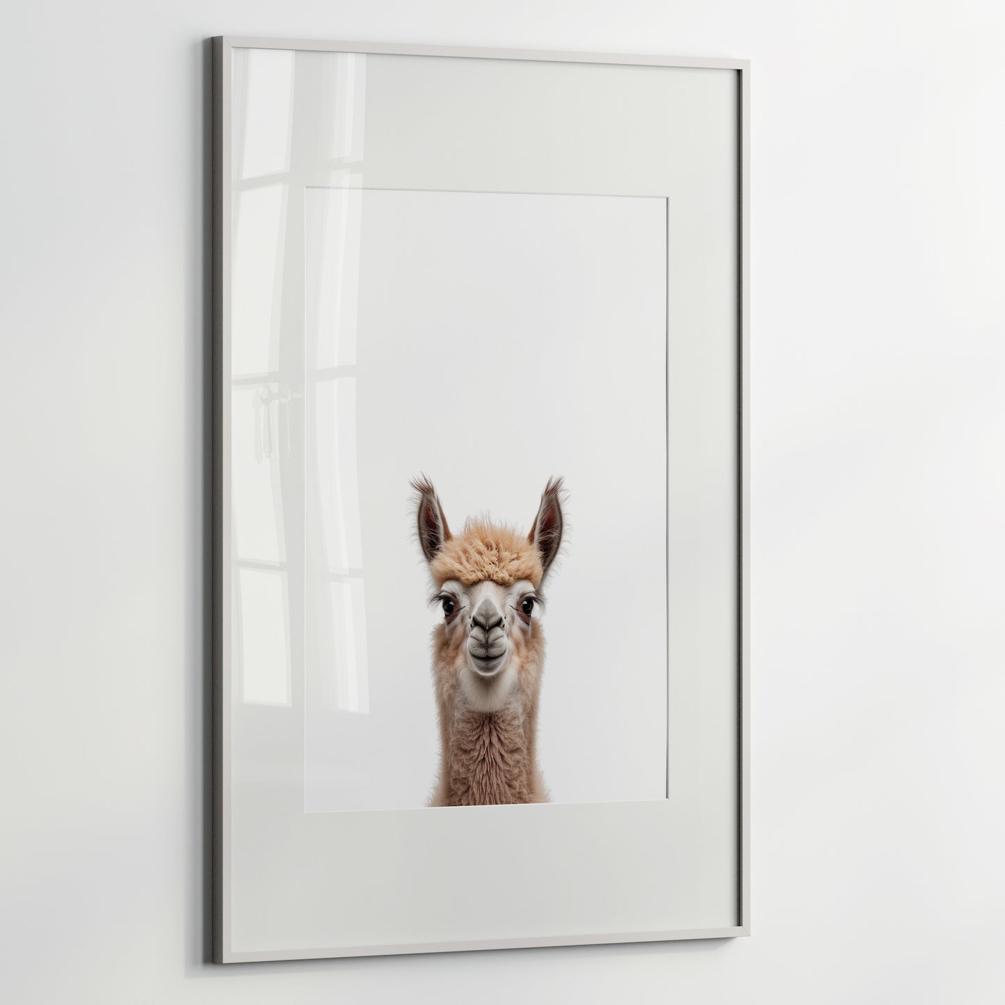 Baby Llama Portrait Print