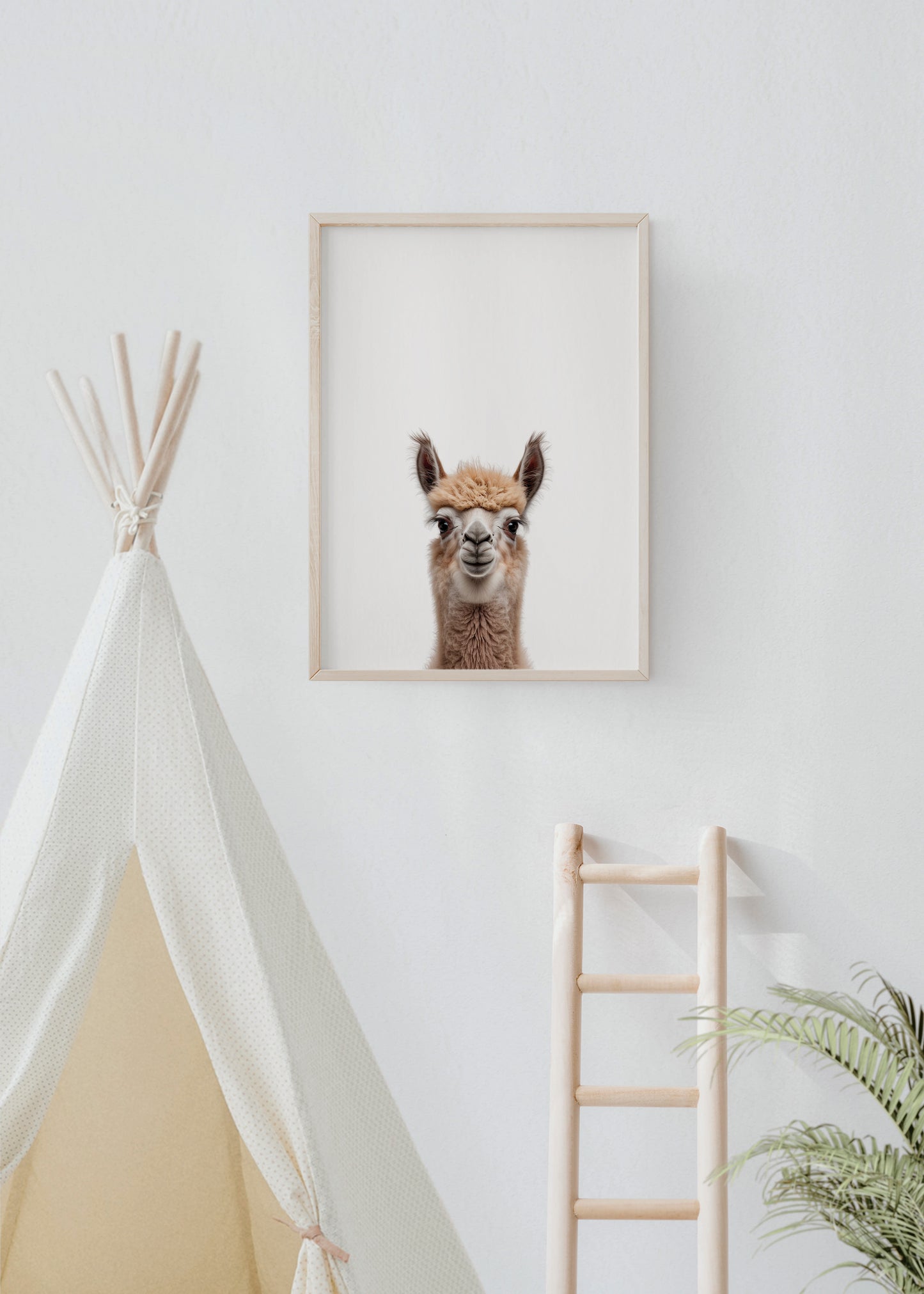 Baby Llama Portrait Print