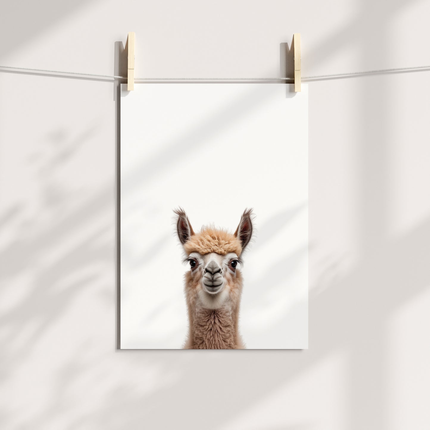 Baby Llama Portrait Print