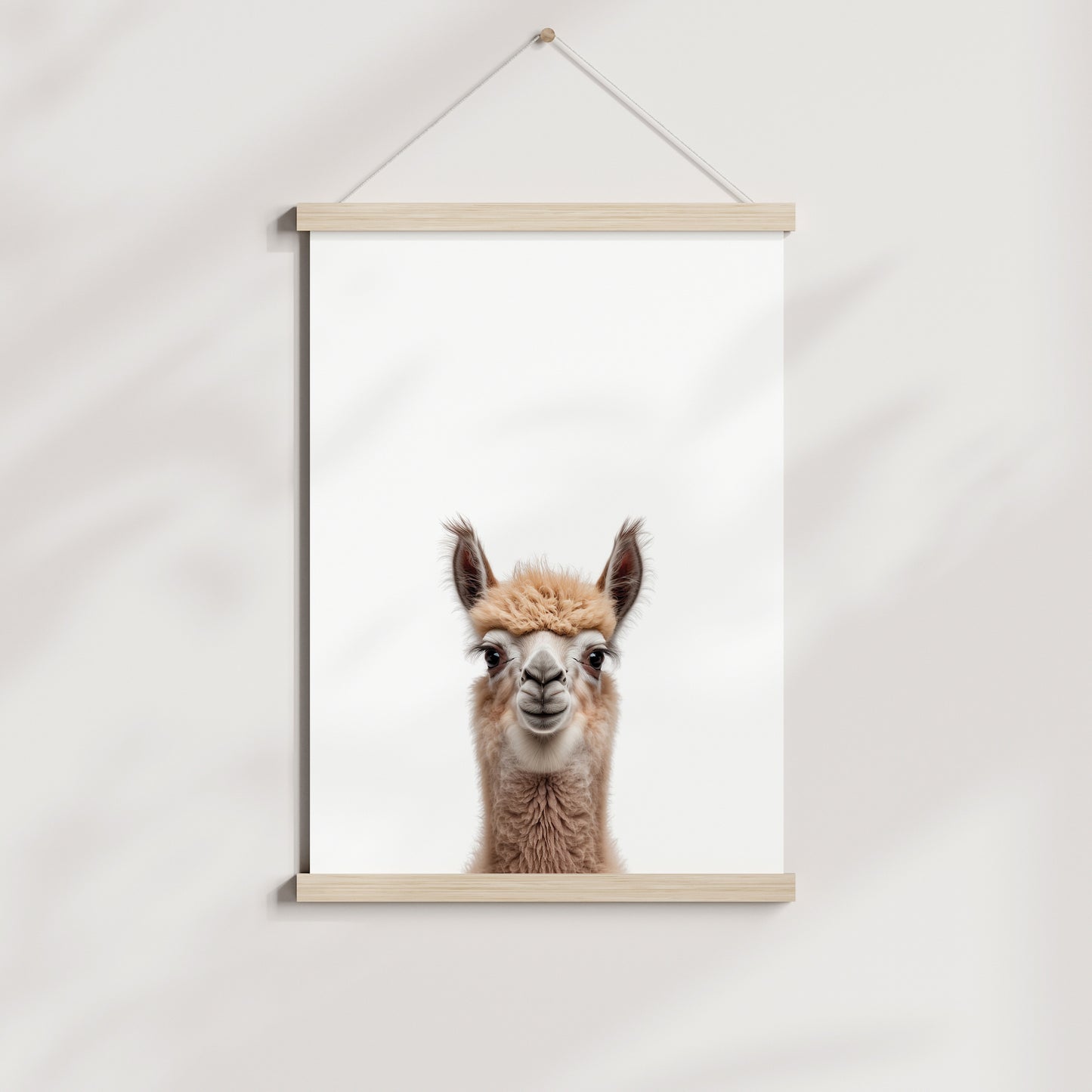 Baby Llama Portrait Print