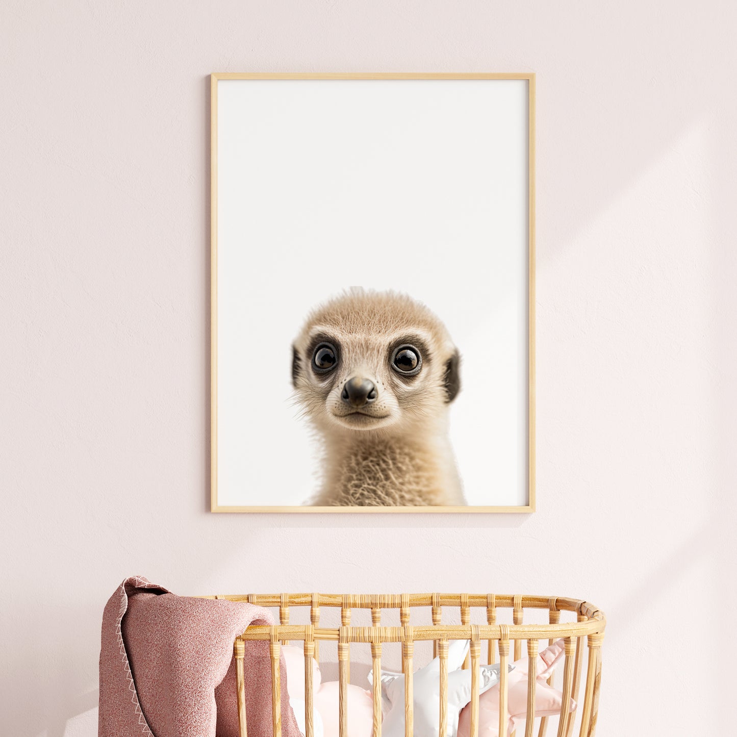 Baby Meerkat Portrait Print