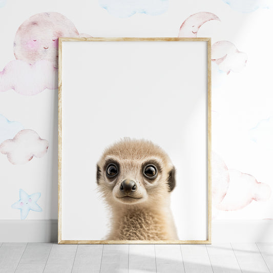 Baby Meerkat Portrait Print