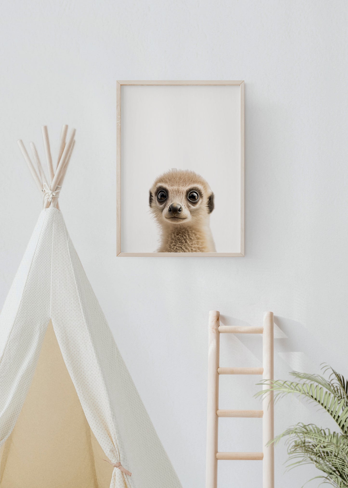 Baby Meerkat Portrait Print